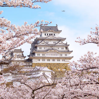 春櫻漫旅關西天空之城美饌7日.竹田城跡.玉造溫泉.出雲大社.出雲大社.新庄村凱旋櫻.四晚溫泉.米其林料理.螃蟹吃到飽
