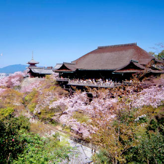 神戶星體驗戀上京阪5日.兩晚京都.不倒翁勝尾寺.有馬溫泉.和服體驗.清水寺.金閣寺.錦市場.龍蝦和牛.燒肉吃到飽