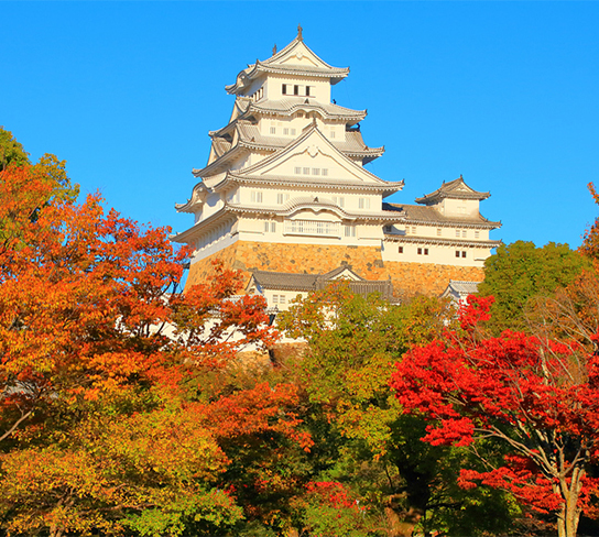 【8人成行】桃太郎關西四都5日.燒肉螃蟹吃到飽.伊勢龍蝦.和服體驗.姬路城.米其林金閣寺.清水寺.嵐山渡月橋.東大寺