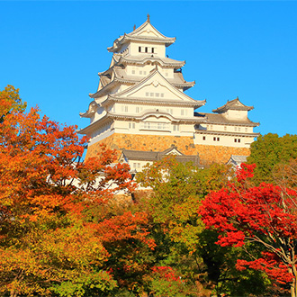 線上旅展~桃太郎關西四都5日.姬路城公園.螃蟹美食.清水寺.東大寺梅花鹿