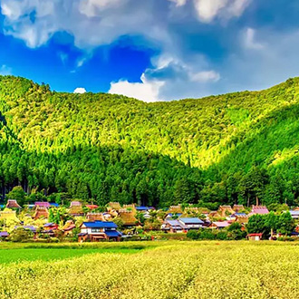 神戶星體驗關西四都饗宴6日.有馬溫泉纜車.和服體驗.清水寺.奈良小鹿.美山合掌村.六甲山.神戶牛龍蝦.一晚五星