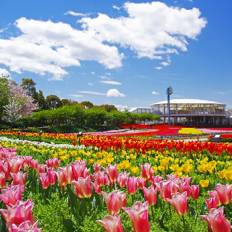 【第二人折兩千】北陸立山黑部雙溫泉6日.保住希爾頓.牧歌之里花海.白川鄉合掌村.兼六園.採果樂.秘境上高地.螃蟹吃到飽