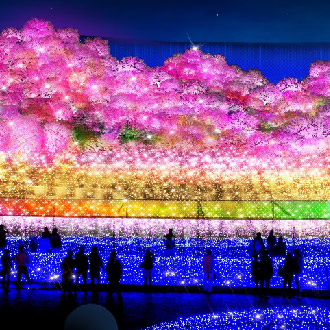 浪漫紫藤立山黑部5日.彩燈名花之里.季節採果樂.白川鄉合掌村.米其林高山小京都.嵐山.兼六園.雪之大谷