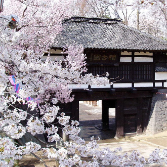 粉紅仙境名東雙溫泉6日.國寶松本城.小諸懷古園.秩父羊山芝櫻.名花之里.長良川鐵道.採果樂.敘敘苑燒肉(泰獅航)
