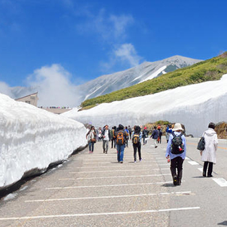 星動立山雪壁雙溫泉5日‧保住希爾頓.雪之大谷.鬱金香花海.上高地.庄川遊船.白川鄉合掌村.兼六園.金箔冰淇淋.飛驒牛肉