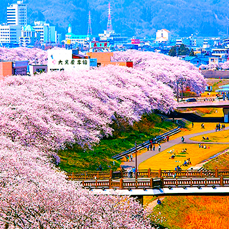 櫻漫舞北陸5日.保住五星希爾頓.新境川櫻花道.兼六園.白川鄉合掌村.金箔體驗.名古屋城.新穗高纜車.海鮮料理(小松進出)