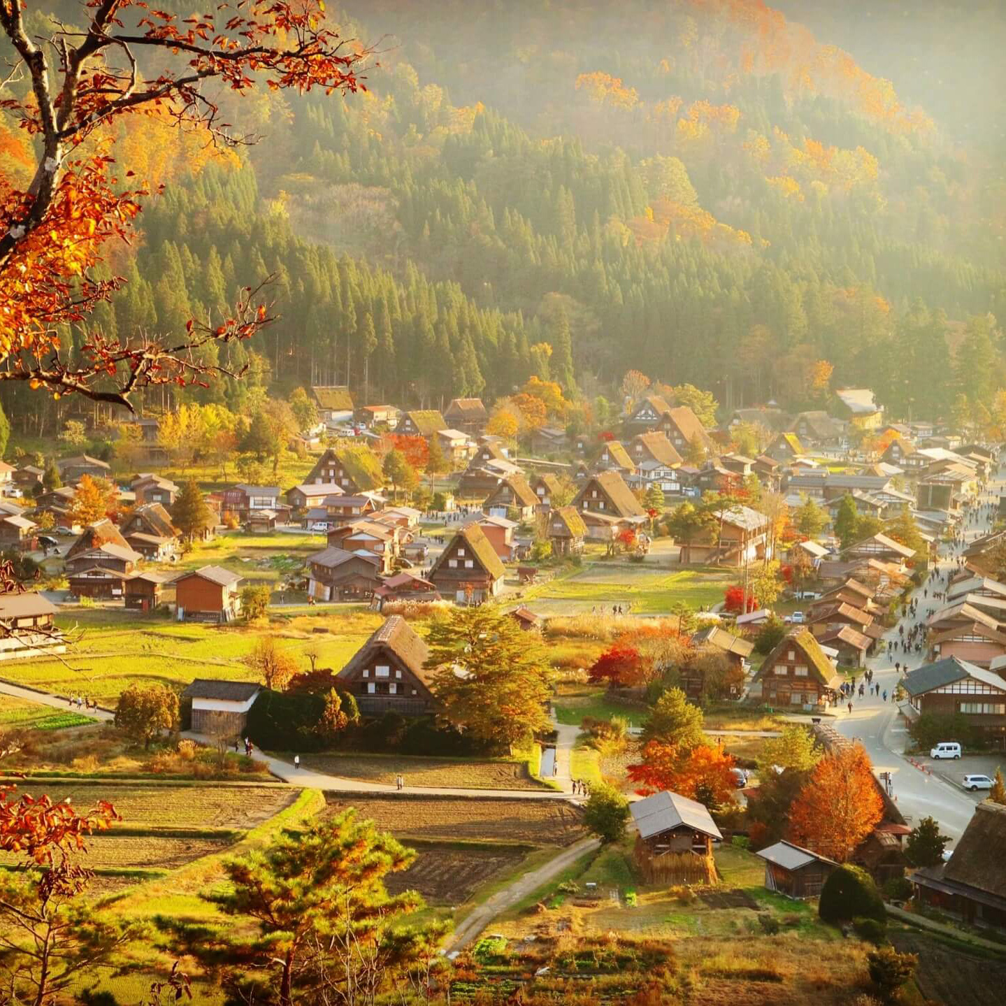 北陸楓物語雙溫泉5日.鶴仙溪.庄川峽遊船.楓紅那谷寺.犬山城.兼六園.名花之里.和牛涮涮鍋(小松進名古屋出)