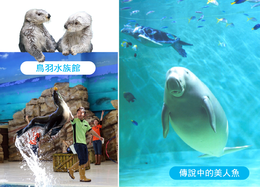 【梅好春日・花戀南紀】花海保住雙溫泉５日.鈴鹿之森賞梅.伊勢神宮.御在所纜車.松阪牛饗宴.螃蟹吃到飽