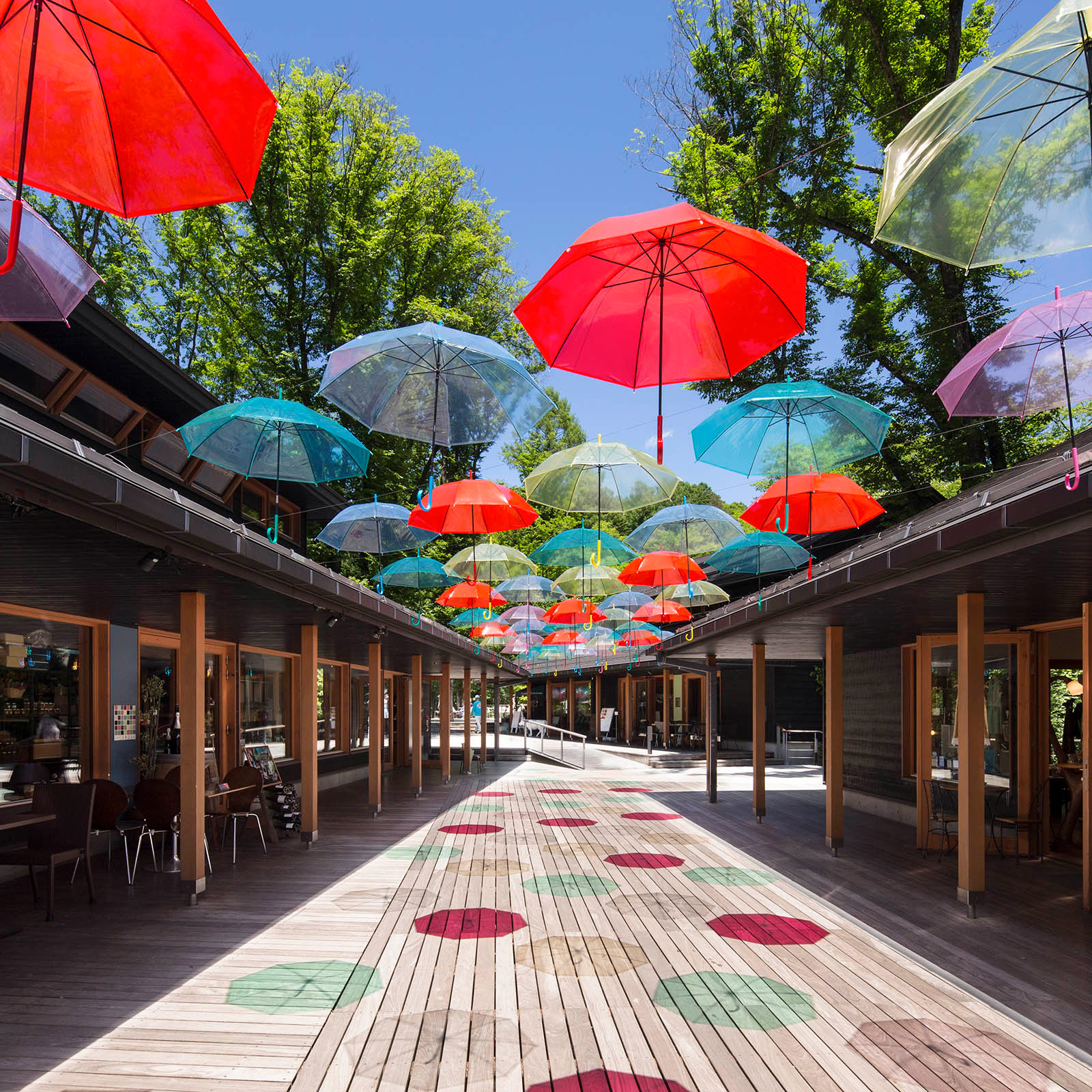 絕美東京屋形船6日.輕井澤五星連鎖飯店.冰川神社.江之島電車.橫濱灣星空纜車.酒水喝到飽.帝王蟹饗宴.雙溫泉