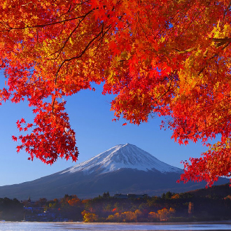 秋楓東京5日.漫步輕井澤.河口湖觀景纜車.紅葉迴廊.川越老街.溫泉美食(中華航空）