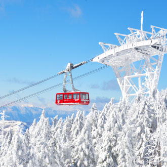 東北藏王樹冰6日-雪上活動.銀山溫泉.大內宿.偕樂園.會津若松.藏王狐狸村.米澤牛.採草莓.溫泉(泰獅)