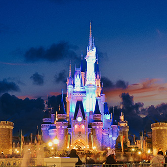 特惠東京迪士尼5日.山中湖白鳥號遊船.大石公園花海.川越小江戶.冰川神社.御殿場OUTLET.溫泉泡湯(華航 早去午回)