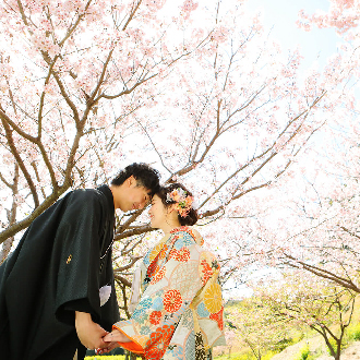 花現櫻限定東京富士山5日.採草莓.御殿場OUTLET.櫻花大道.淺間神社.蘆之湖遊船.螃蟹吃到飽(中華）