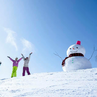 泰夢幻東京玩雪溫泉6日.富士山景觀纜車.冬季採草莓體驗.忍野八海.海賊船.箱根神社(泰獅航）