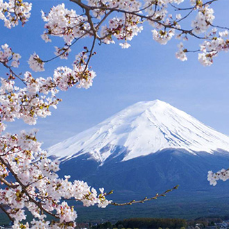 高雄出發絕美東京櫻花百選雙溫泉6日.長瀞遊船.輕井澤秘境.富士櫻花.江之島電車.橫濱灣星空纜車.屋形船酒水喝到飽.