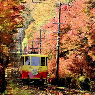 【米其林三星景點.賞楓5日】高尾山.長瀞遊船.昭和紀念公園.月之石紅葉公園.銀杏大道.秩父神社.三大螃蟹饗宴