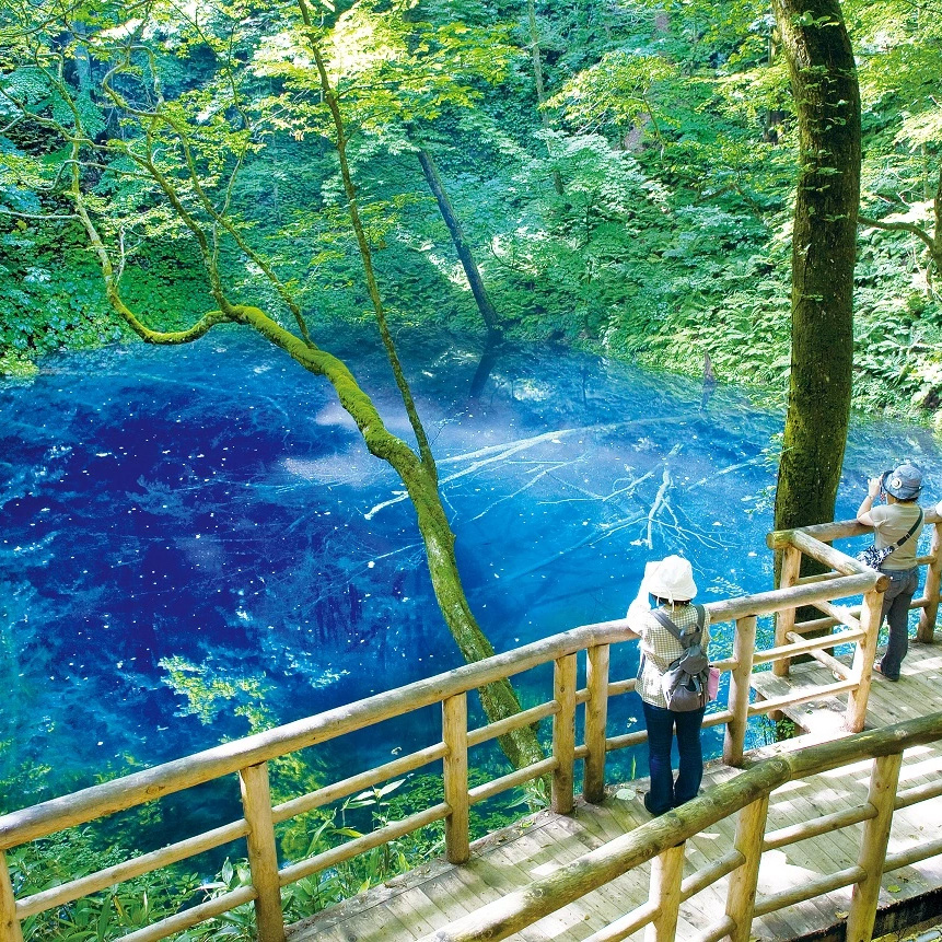 東北世界遺產5日.白神山地.青池十二湖.五能線白神號列車.奧入瀨溪.男鹿半島太鼓秀.銀河纜車.石燒海鮮.(不進免稅店)