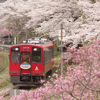 花現東北百選櫻花雙溫泉5日~夢幻浪漫會津鐵道.採草莓.大內宿.秘境銀山溫泉街.二本松.船岡城址.松島遊船