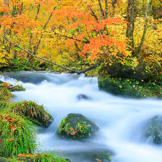 東北最美紅葉青森7日.秘境奧入瀨溪.猊鼻溪遊船.銀山溫泉.採果.狐狸村.五色沼.弘前城.秋田列車.溫泉饗宴(日本航空)