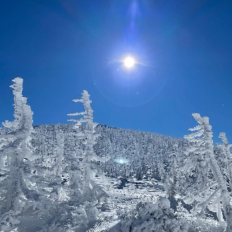 【限量29900起】雪夢幻東北5日.樹冰纜車.山形鐵道.銀山溫泉.狐狸村.狔鼻溪遊船.金蛇水神社.米澤牛料理台進花卷出)