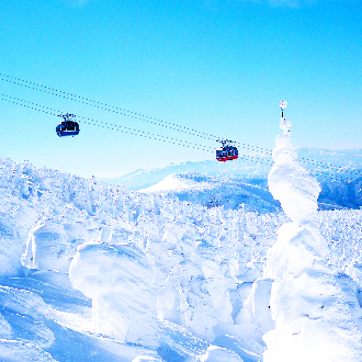 星宇冰雪紛飛東北三溫泉5日.藏王樹冰纜車.狐狸村.銀山溫泉.採果樂.雪上活動.米澤牛(仙台進出)和牛料理