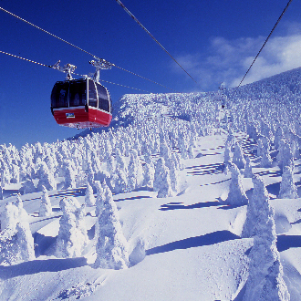 東北藏王樹冰6日-雪上活動.銀山溫泉.大內宿.偕樂園.會津若松.藏王狐狸村.米澤牛.採草莓.溫泉(泰獅航空)