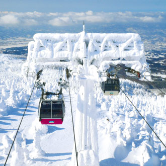 金蛇迎新春愛戀東北藏王樹冰5日.狐狸村.銀山溫泉.狔鼻溪雪舟.採草莓.秋田雪中鐵道.入住三溫泉(長榮)