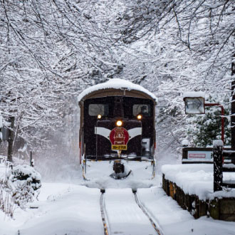 東北藏王樹冰纜車7日-奧入瀨溪.戲雪.津輕鐵道暖爐列車.草莓吃到飽.螃蟹溫泉美食(日本航空)
