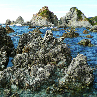 東北新潟自由行5日~贈送1晚飯店