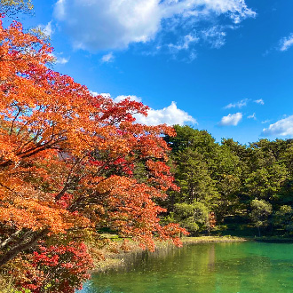楓紅庄內東北秘境百選溫泉5日.最上川遊船.五色沼健行.安達太良山纜車.磐梯吾妻.銀山溫泉.懷石料理