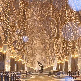 ITF搶購東北浪漫彩燈5日.百選溫泉.銀山溫泉.奧入瀨溪流.小岩井彩燈.內陸鐵道.採果樂.螃蟹燒肉吃到飽