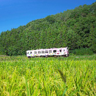 【驚喜特賣會】東北溫泉5日.浪漫會津鐵道.大內宿.五色沼.金水蛇神社.銀山溫泉.松島遊船.牛舌美食(新瀉進出)