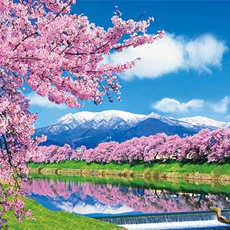 花現東北櫻花百選.銀山溫泉.採果樂.大內宿.最上川遊船.彌彥神社.米澤牛饗宴.溫泉5日(仙/潟)
