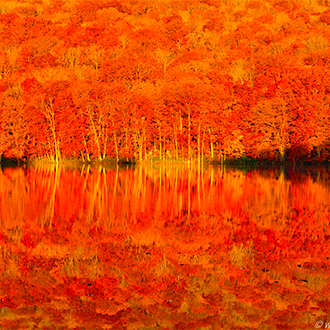 東北東京賞楓7日～秘境奧入瀨溪.藏王連峰纜車.蔦沼紅葉.猊鼻溪遊船.銀山溫泉.採青森蘋果..百選溫泉
