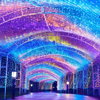 星野函館OMO5北海道雙溫泉5日.尼克斯企鵝遊行.萌熊牧場.函館百萬夜景.浪漫小樽.螃蟹燒肉吃到飽