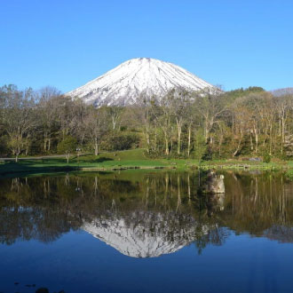 ITF搶購戀上北海道雙溫泉6日.雪白美瑛青池.企鵝遊行.夢幻森林精靈台.白雪夢幻彩燈.星空瀑布.敘敘苑燒肉