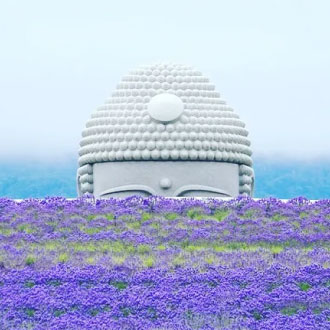 超值亞航北海道哈密瓜吃到飽5日.熱汽球體驗.富良野花田.四季彩之丘.頭大佛薰衣草.安田侃雕刻美術館.奇幻燈遊步道.泡湯趣