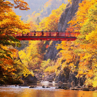 高雄出發楓迷北海道三溫泉6日.黑岳空中纜車.紅色珊瑚草.福原山莊.熱氣球.豐平峽.層雲峽紅葉燈光秀.三大螃蟹和牛吃到飽
