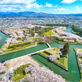 高雄出發戀上櫻花北海道三溫泉5日.道南漁火列車.函館百萬夜景.企鵝遊行.櫻花隧道.三大螃蟹吃到飽