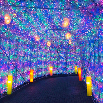 銀雪幸福北海道三溫泉7日.森林精靈露台.旭山動物園.丹頂鶴.浪漫小樽.流冰精靈.長腳蟹美食