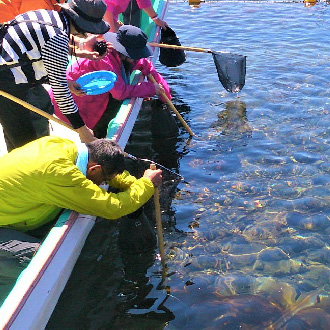 酷夢幻北海道跳島溫泉6日.利尻島.禮文島.日本最北端宗谷岬.採海膽體驗.旭山動物園.冰雪之門.四季之彩.三大蟹吃到飽
