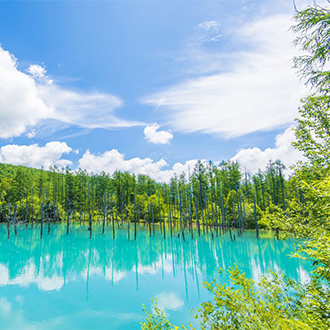戀上北海道6日.層雲峽.美瑛秘境青池.尼克斯企鵝.浪漫小樽.札幌不夜城