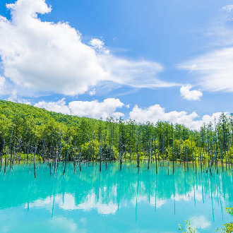 
保住星野函館OMO5北海道5日.尼克斯企鵝遊行.萌熊牧場.函館百萬夜景.浪漫小樽.雙溫泉
