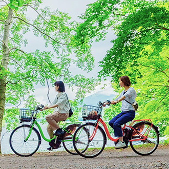 星宇北海道5日.尼克斯企鵝遊行.大沼單車體驗.萌熊牧場.函館纜車.浪漫小樽.洞爺湖溫泉.幸運小丑漢堡美食(函館進出)