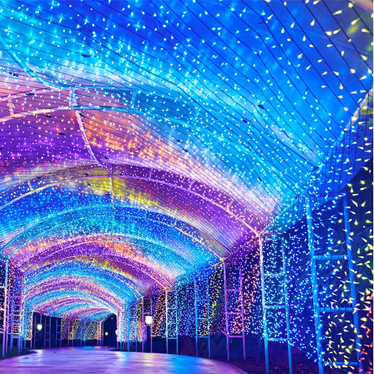 【冬季旅展】戀上北海道6日.層雲峽.美瑛秘境青池.雪中尼克斯企鵝.浪漫小樽雪燈.札幌不夜彩燈.加贈螃蟹吃到飽