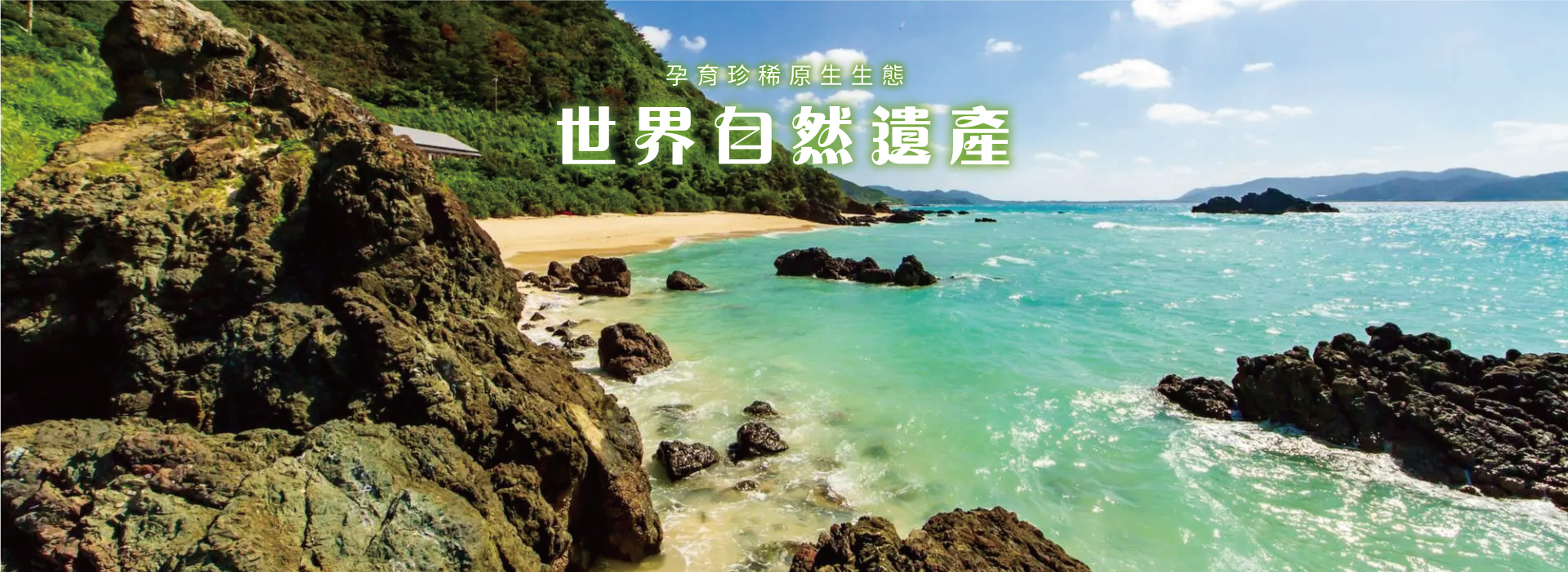 輪播2
