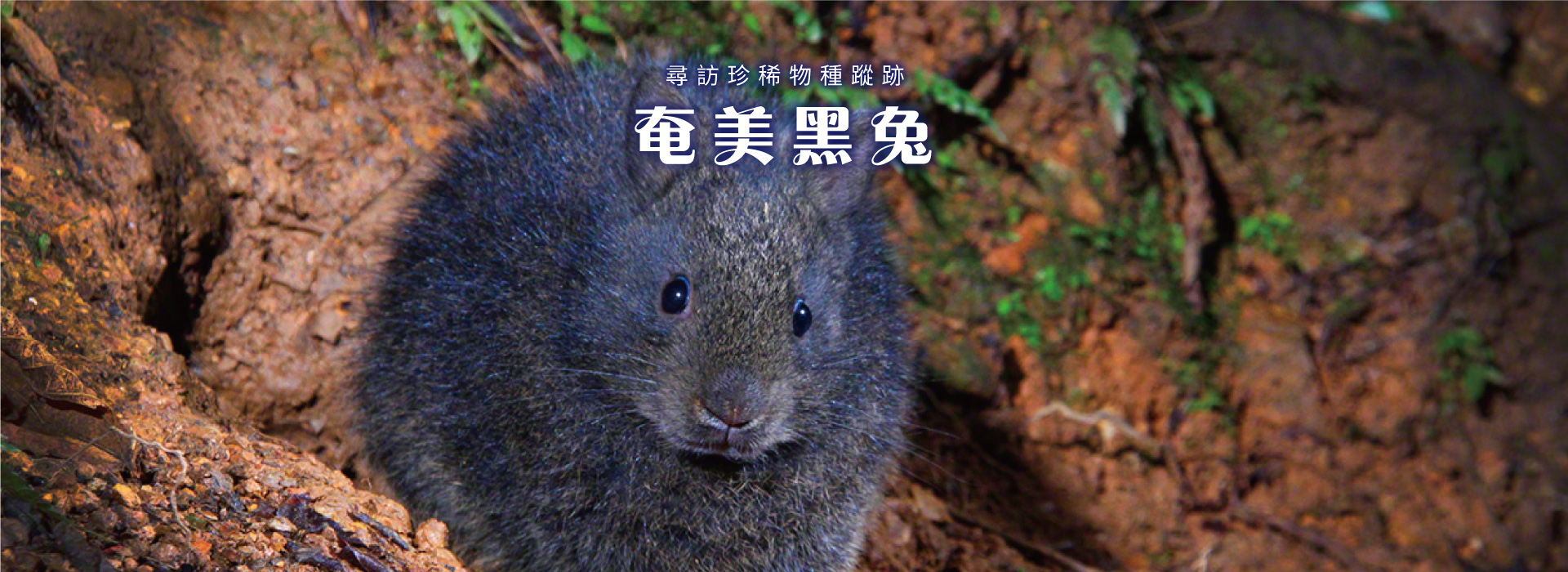 輪播4