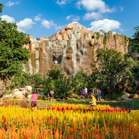嗨旅遊~清邁6日