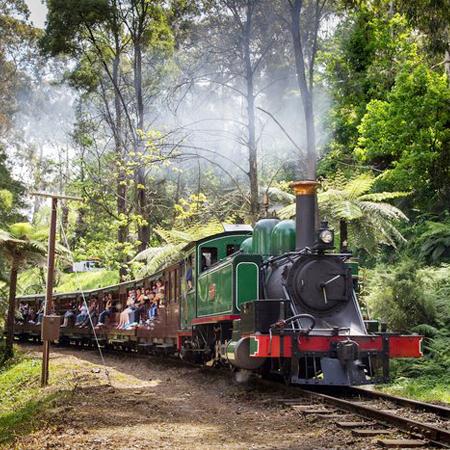 【澳遊客】金色汶萊+墨爾本醇旅行雙國8日(大洋路&酒莊&觀景台、紅樹林生態&水上人家)