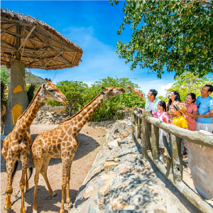 越捷～富國島新春超值四星５日